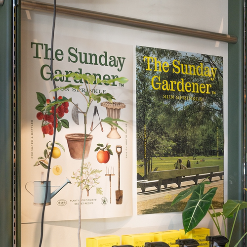 简约复古假日植物海报