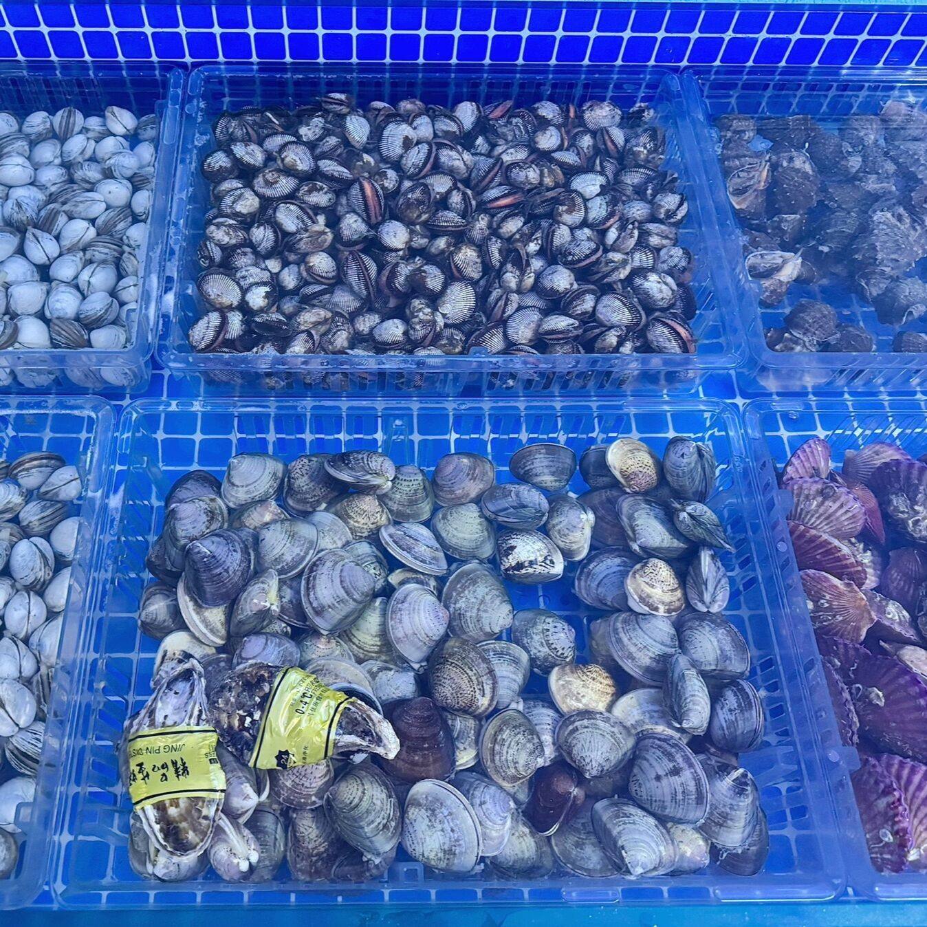海鲜池档口专用花甲掉沙分类