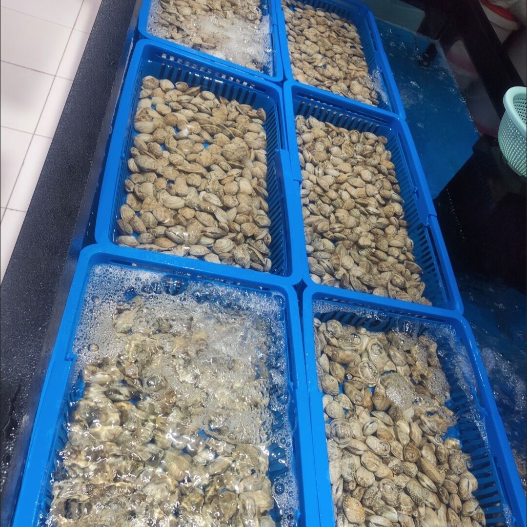 海鲜鱼缸可伸缩花甲长方形