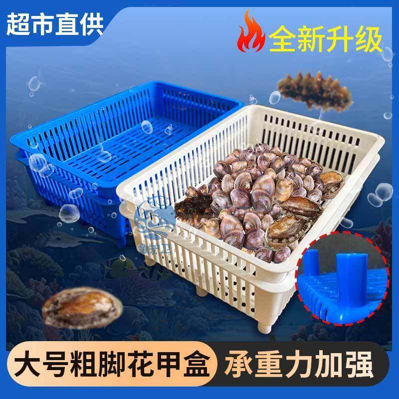 花甲篮周转筐子毛蛤海鲜池