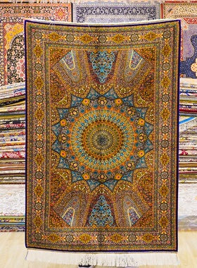 天匠进口波斯地毯欧美别墅大宅无甲醛易打理高端地毯100x150cm