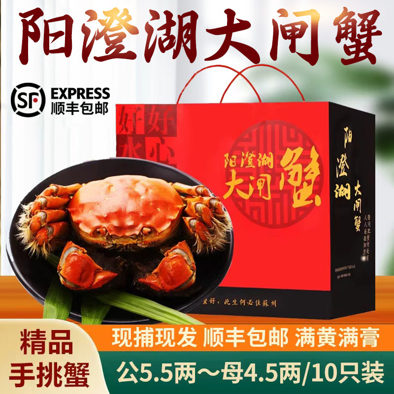 活蟹苏州官方阳澄精品大闸蟹鲜活特大螃蟹公蟹5.5母蟹4.5礼盒装