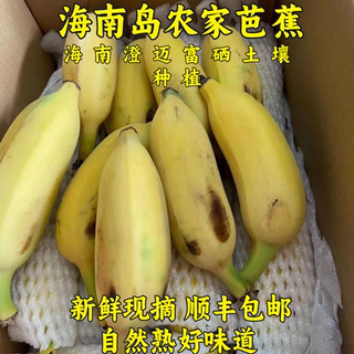 【顺丰包邮】 香蕉海南芭蕉小米蕉粉蕉苹果蕉5斤装新鲜糯糯甜甜