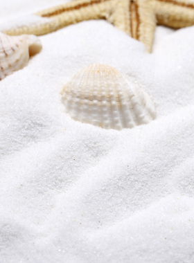 500克石英砂白色石英沙天然沙白色细沙子造景白沙石小颗粒白沙子