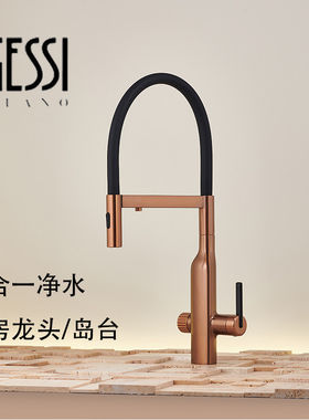 意大利GESSI捷仕全铜冷热净水三合一厨房抽拉吸磁洗菜盆水龙头