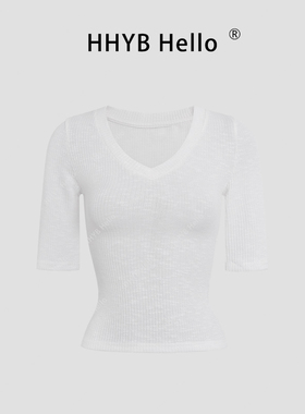 HHYB别来无恙 肌理感正肩V领短袖T恤2025新款气质修身上衣250092