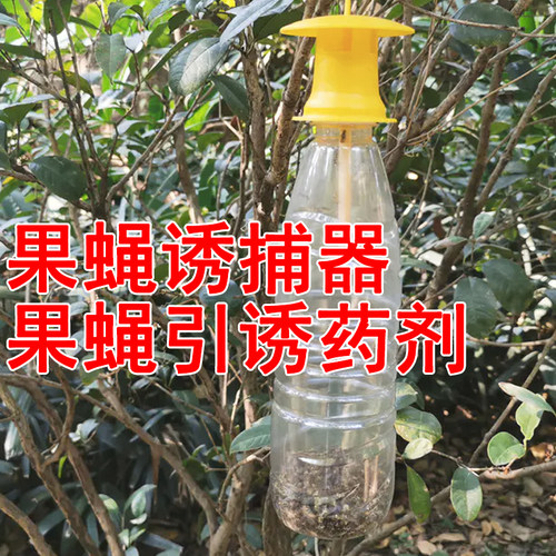 瑞丰生物果蝇诱捕器针蜂果蝇捕抓
