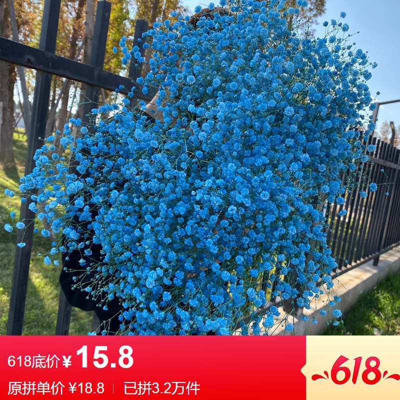 买一送一干花真花干花真花