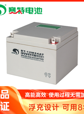 正品赛特BT-12M24AT消防UPS用免维护铅酸蓄电池(12V24Ah/20HR)