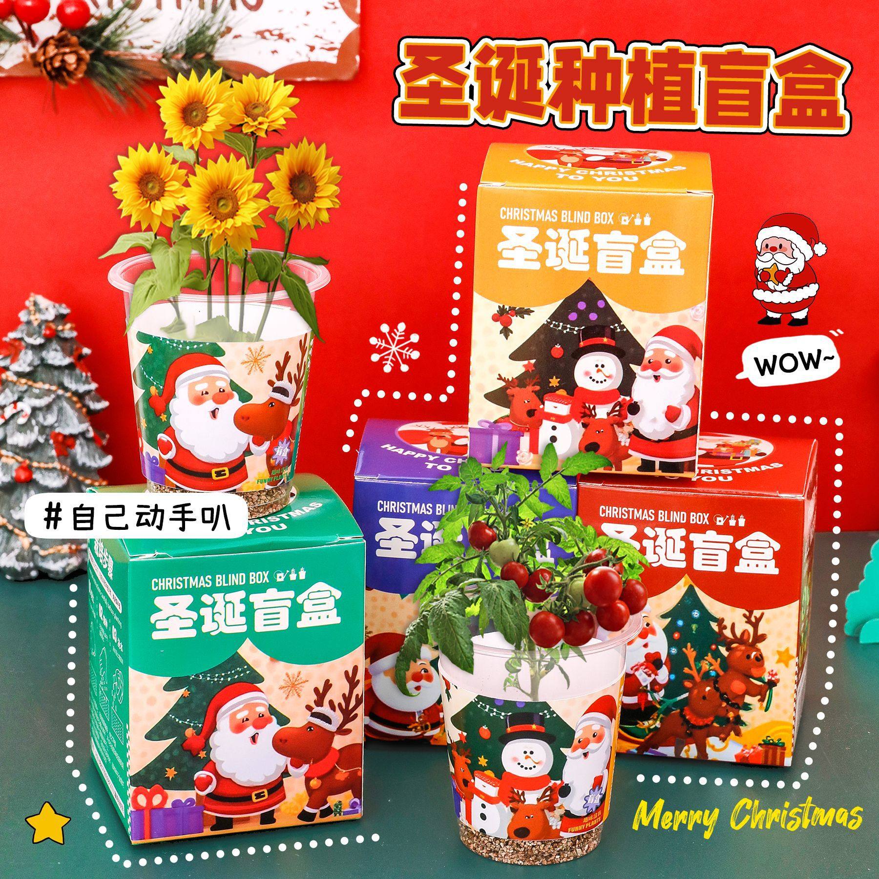 圣诞种植创意盆栽送小朋友