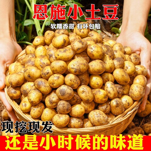 恩施小土豆迷你现挖新鲜黄心土豆当季蔬菜硬币马铃薯洋芋整箱包邮 - 封面