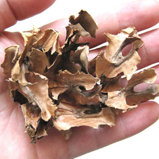 新货新疆产黑桃衣纸皮核桃隔夹衣隔心木分心木隔芯膜睡眠泡茶500g