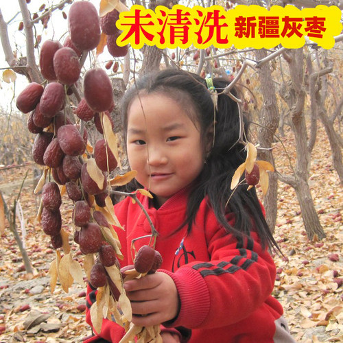 农家自产新疆红枣未清洗未加工