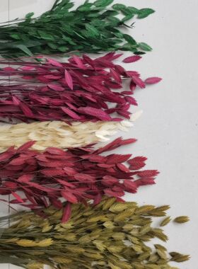 小盼草干花永生花客厅家居摆件小清新插花电视柜室内装饰拍摄道具