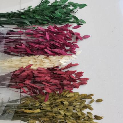 小盼草干花永生花客厅家居摆件小清新插花电视柜室内装饰拍摄道具
