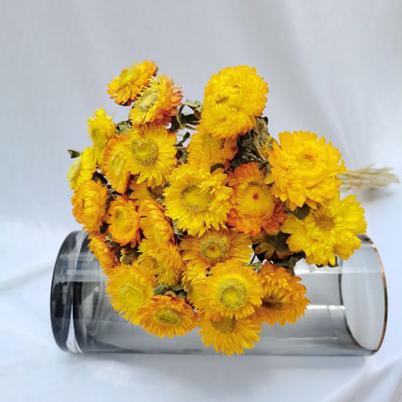 满天星永生花套装花黄金球小雏菊花束客厅家居摆放麦秆菊包邮