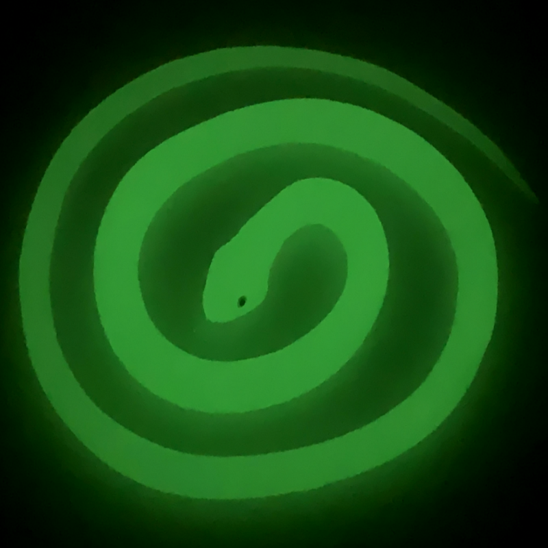 软胶仿真发光荧光蛇一条包邮