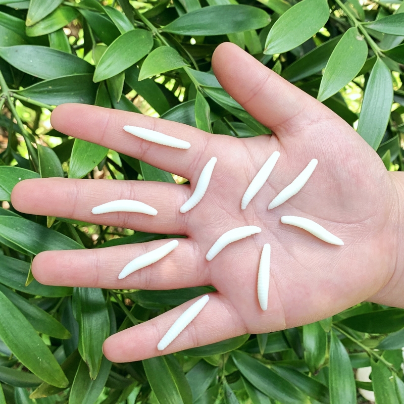 软胶仿真弹力蛆虫包邮