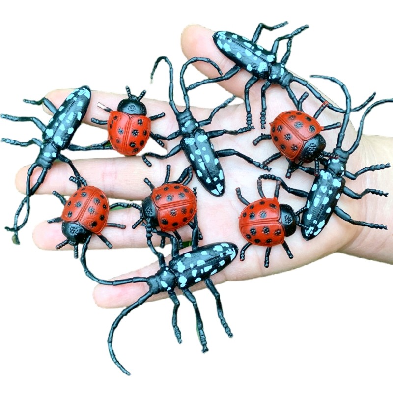 仿真七星瓢虫天牛套装幼儿园儿童玩具礼物认知静态小昆虫动物模型