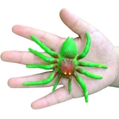 仿真软胶蜘蛛玩具橡胶模型大小号整人恶搞恐怖幼儿园儿童认知动物