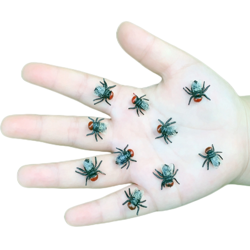 仿真苍蝇套装塑胶儿童玩具包邮