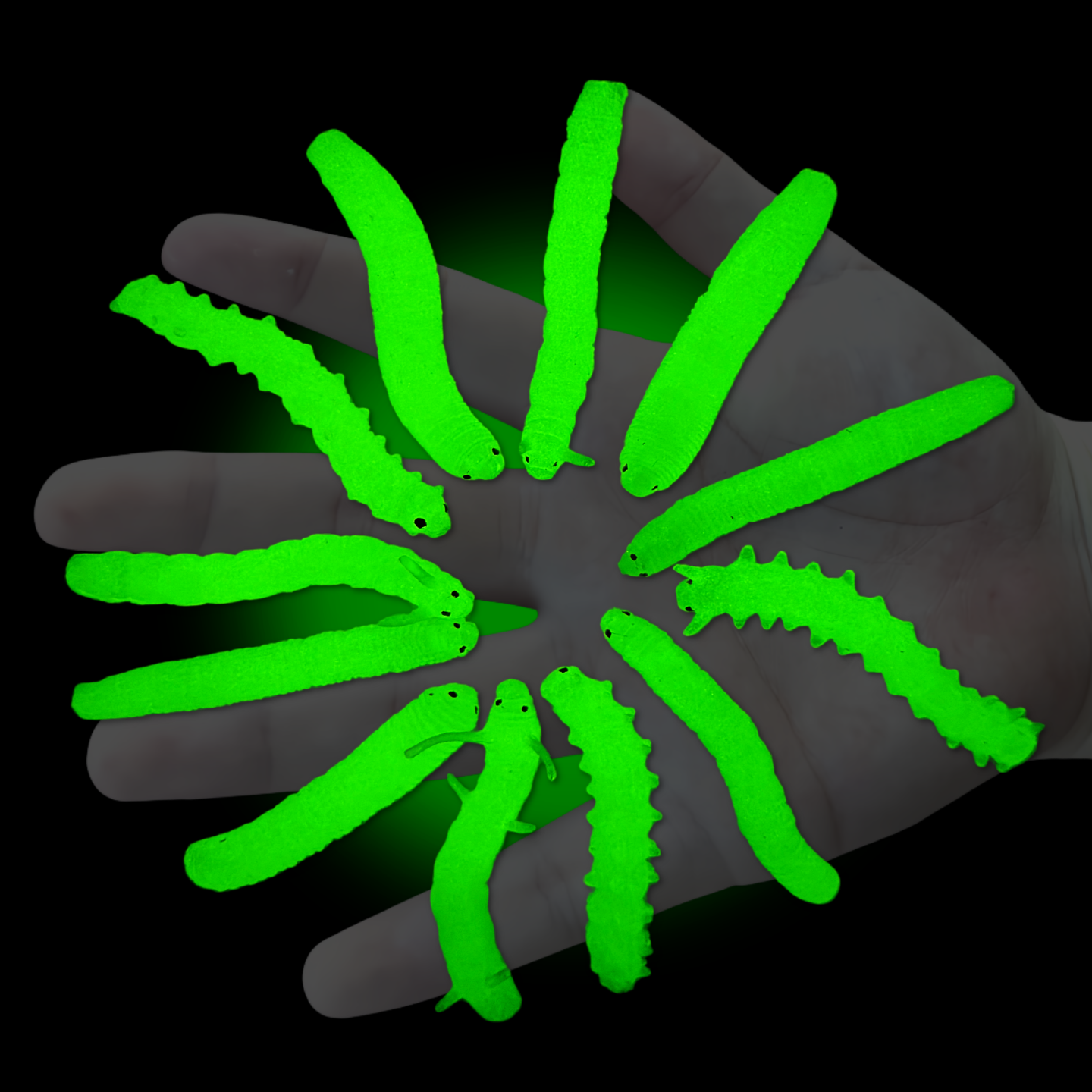 夜光软胶毛毛虫子超亮幼儿园儿童玩具公开课认知发光昆虫动物模型,玩具/童车/益智/积木/模型,仿真/动物玩偶,淘宝优惠券,粉丝福利购,淘宝优惠卷