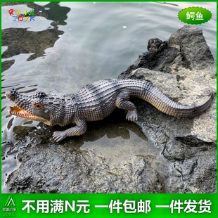 软胶仿真大鳄鱼小蜥蜴蟑螂青蛙蛇幼儿园儿童认知玩具静态动物模型