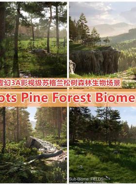 UE4虚幻5 照片极森林树林场景绝地求生 Scots Pine Forest Biome