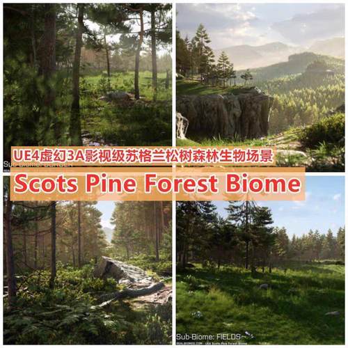 UE4虚幻5 照片极森林树林场景绝地求生 Scots Pine Forest Biome