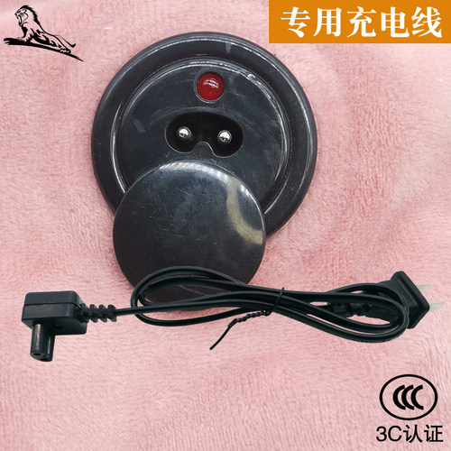 两孔专用电热水袋充电器