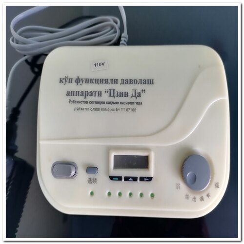 INGDA Model 18 Pulse Therapy Massager 110V for US  Home