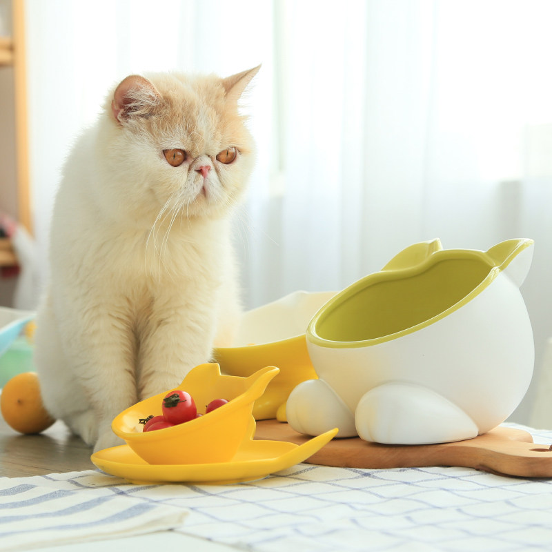 Vivipet陶瓷斜面小Q碗宠物碗猫碗猫盘食碗水碗硅胶云朵餐垫套装