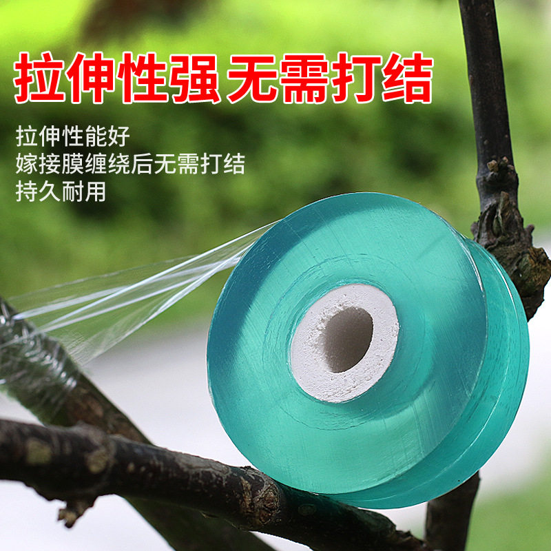 自粘嫁接膜苗木果树嫁接专用膜无需打结薄膜包装膜嫁接绑带包扎带