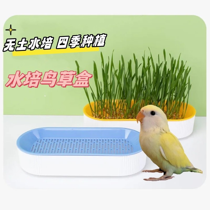 鸟零食鸟薄荷种植水培盒鸟草盆撞色水培鸟草盒套装宠物用品鸟食品,宠物/宠物食品及用品,鸟禽其他,淘宝优惠券,粉丝福利购,淘宝优惠卷