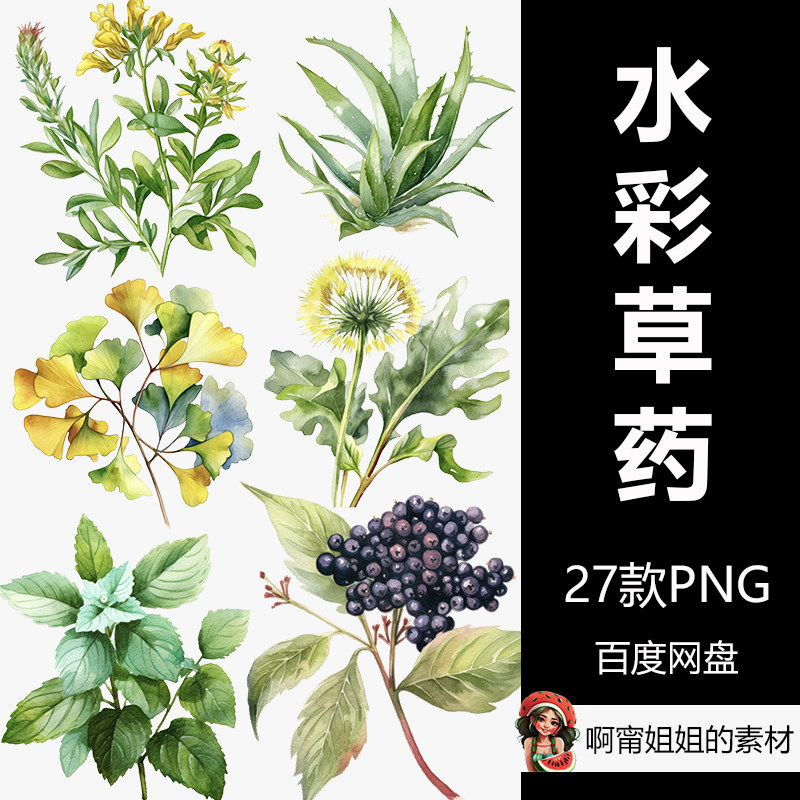 中医水彩草药剪贴画手绘插画绘本系列png免抠设计素材高清新品