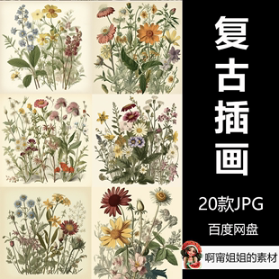 精品 复古野花花卉剪贴画插画书籍背景插图设计素材放大高清新品