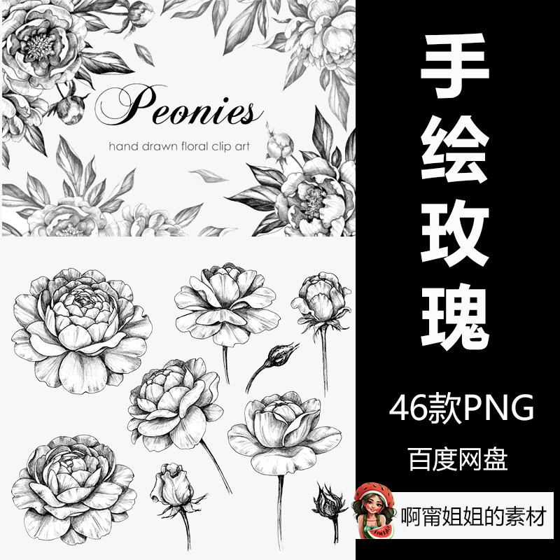 手绘线条玫瑰黑白花卉剪贴画插画png免抠设计素材高清新品精品