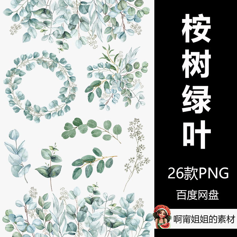 桉树的绿叶水彩手绘装饰树叶剪贴画插画PNG免抠设计素材高清新品图片