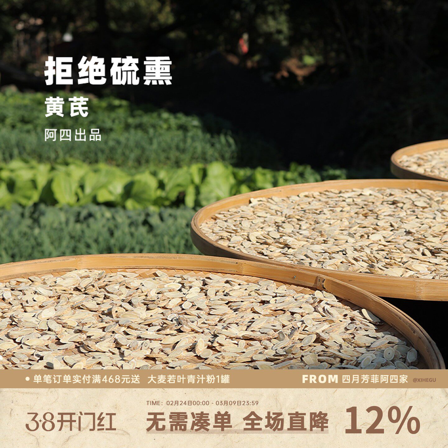 阿四出品 | 黄芪片无硫熏泡水煮茶产自甘肃金盏银盘菊花心 130克