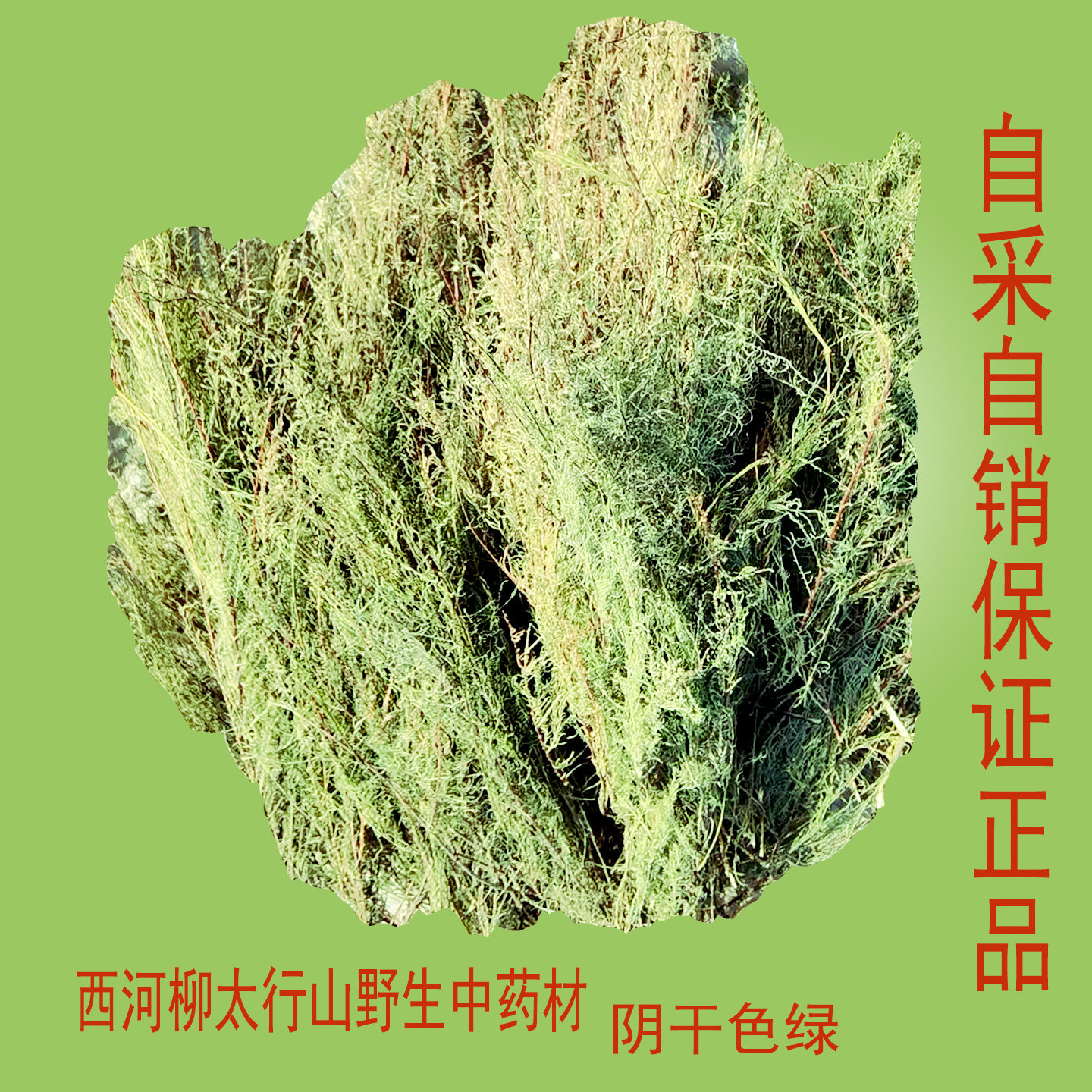 西河柳怪柳三春柳太行山野生中药材自己采择阴干色绿产地直发正品