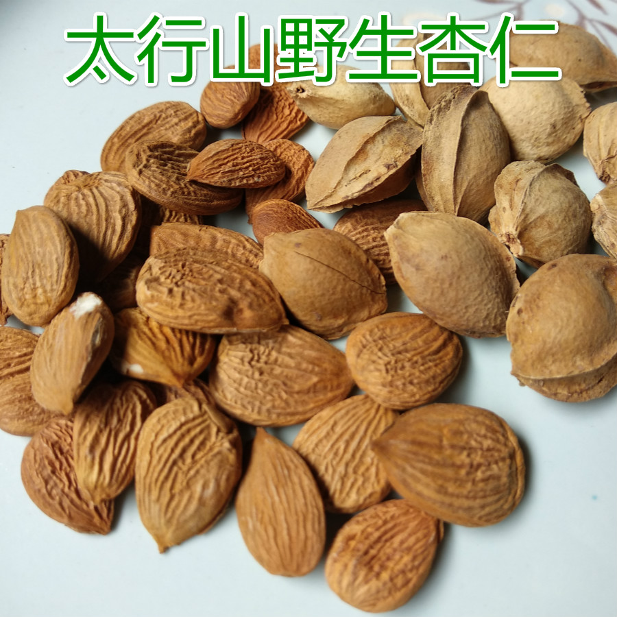 2024年新产杏仁苦杏仁太行山野生杏仁地道天然中药材大自然的恩赐