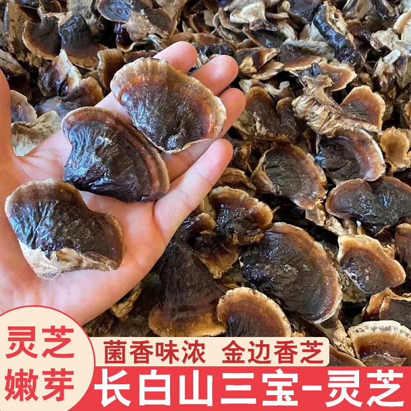 正宗长白山灵芝嫩芽煲汤用灵芝火锅金边小灵芝煲汤菌香不苦灵芝片,传统滋补营养品,整枝灵芝,淘宝优惠券,粉丝福利购,淘宝优惠卷