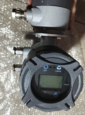 Walsn流量计CMFUSS01008021M101E1--议价商品