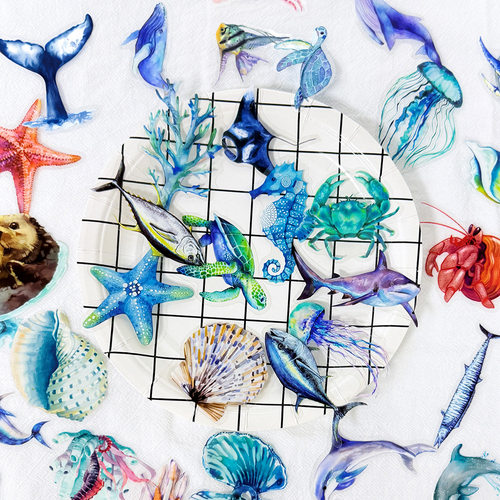 100张海洋生物PET贴纸ins风小众简约创意手机壳行李箱笔记本diy