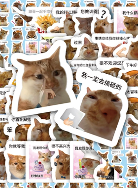 鱼烧猫贴纸搞笑抽象猫meme手账行李箱笔记本手机壳咕卡素材防水贴