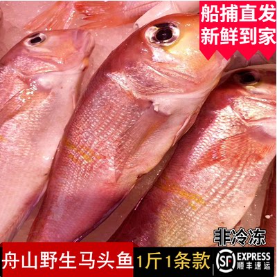 马头鱼甘鲷舟山水产新鲜深海马面方头大红斧头鱼非冷冻 1-1.5斤款图片