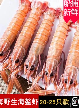 鳌虾南极深海超大鲜活刺身款铁甲