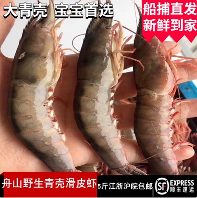 东海舟山活皮虾特色新鲜水产野生大青壳硬壳呛剑虾滑皮虾鲜活400g