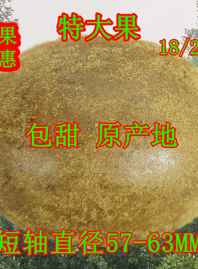 罗汉果特大果特级大果罗汉果茶广西桂林特产凉茶短轴直径57-63mm