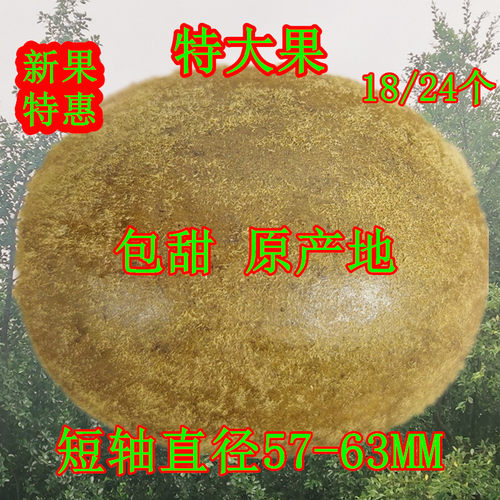 特级罗汉果57-63mm罗汉果茶